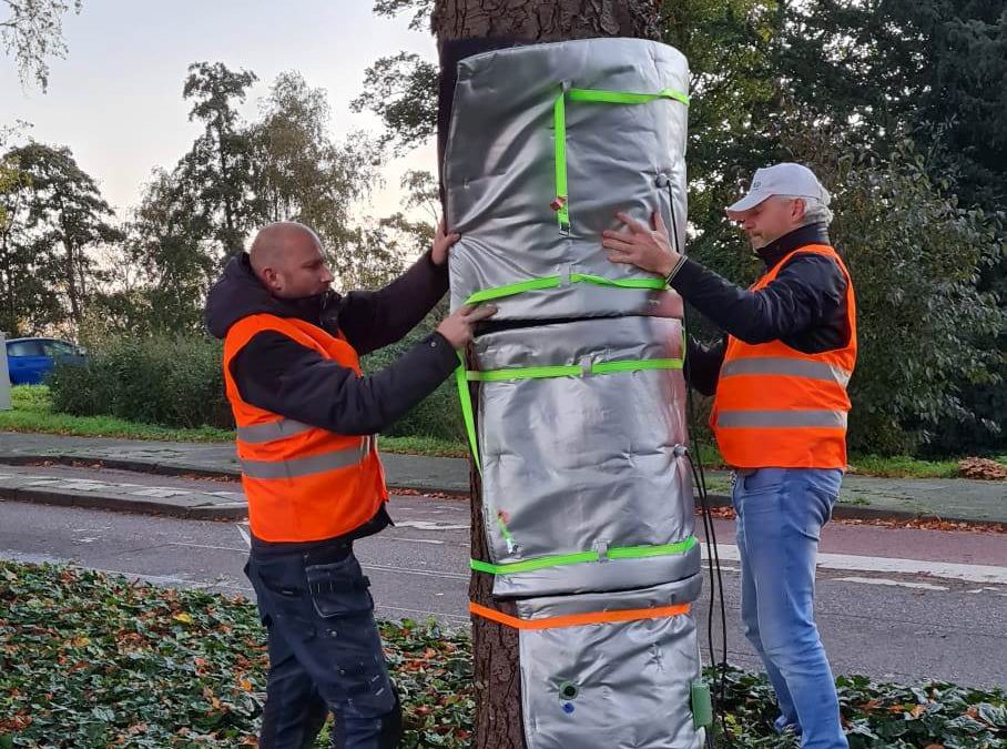 Bomenknuffelaars actief